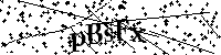 Bitte die Buchstaben und Zahlen unten eingeben