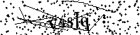 Inserire le lettere e i numeri qui sotto