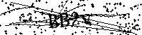 Bitte die Buchstaben und Zahlen unten eingeben