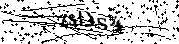 Inserire le lettere e i numeri qui sotto