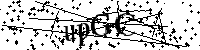 Inserire le lettere e i numeri qui sotto