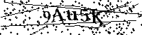 Bitte die Buchstaben und Zahlen unten eingeben