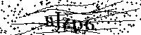 Inserire le lettere e i numeri qui sotto