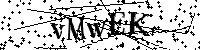 Inserire le lettere e i numeri qui sotto
