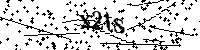 Inserire le lettere e i numeri qui sotto