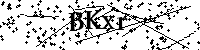 Inserire le lettere e i numeri qui sotto
