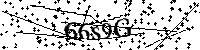 Inserire le lettere e i numeri qui sotto
