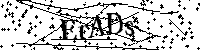 Inserire le lettere e i numeri qui sotto