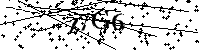 Inserire le lettere e i numeri qui sotto