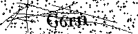 Inserire le lettere e i numeri qui sotto