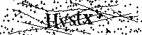 Inserire le lettere e i numeri qui sotto