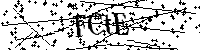 Bitte die Buchstaben und Zahlen unten eingeben