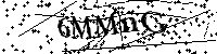 Inserire le lettere e i numeri qui sotto