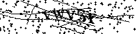Inserire le lettere e i numeri qui sotto