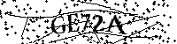 Inserire le lettere e i numeri qui sotto