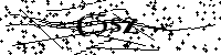 Inserire le lettere e i numeri qui sotto