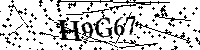Inserire le lettere e i numeri qui sotto