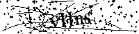 Inserire le lettere e i numeri qui sotto