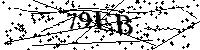 Inserire le lettere e i numeri qui sotto
