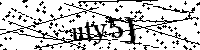 Inserire le lettere e i numeri qui sotto
