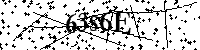 Inserire le lettere e i numeri qui sotto