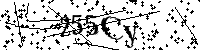 Inserire le lettere e i numeri qui sotto