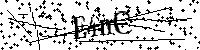 Inserire le lettere e i numeri qui sotto