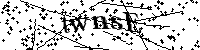 Bitte die Buchstaben und Zahlen unten eingeben
