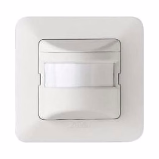 Motion Detectors