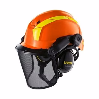 Head Protection