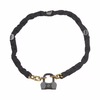 Bike Locks & Anti-Theft