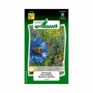 Blumensamen