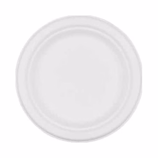 Disposable Tableware