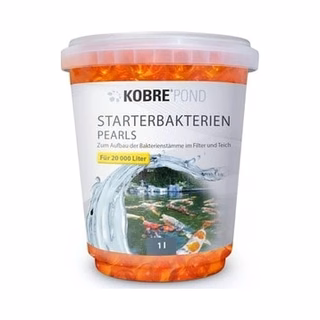 Teichpflege