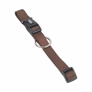 Dog Collars