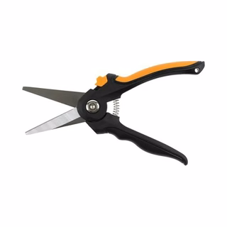 Pruning Shears