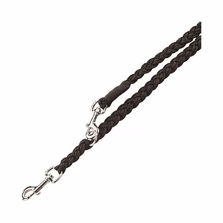 Dog Leashes
