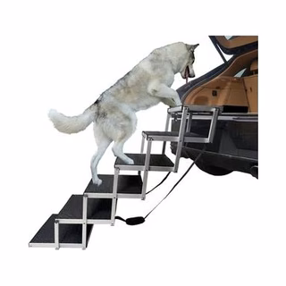 Car & Bike Accessories for Pet Transport