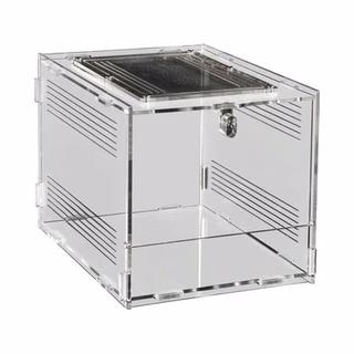 Terrarien