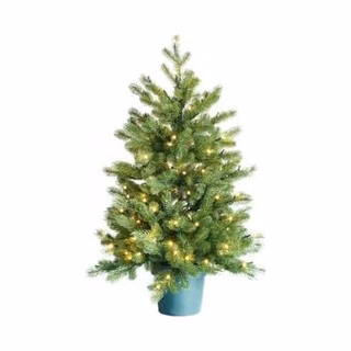 Christmas Trees